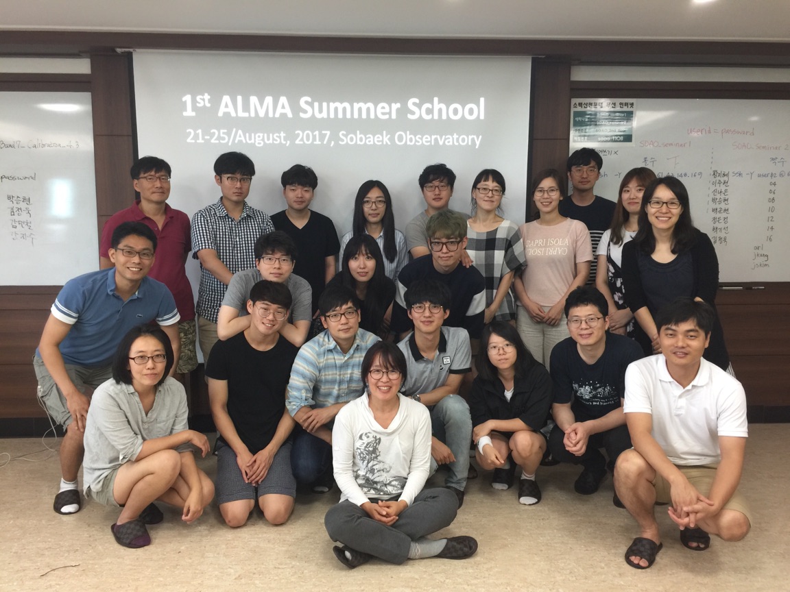 ALMA Summer School